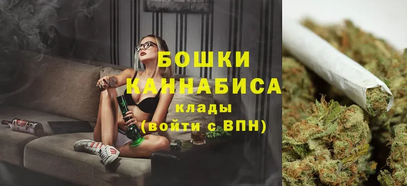 продажа наркотиков  Жуков  МАРИХУАНА Amnesia 